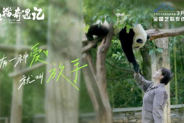 纪实电影《熊猫奇遇记》暖心定档，3月10日解锁国宝全生命周期密码 