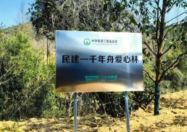 舟载春约 绿绘新篇｜千年舟集团3・12植绿活动圆满举行 