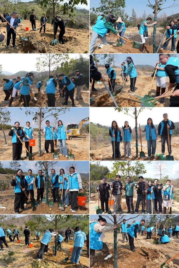 舟载春约 绿绘新篇｜千年舟集团3・12植绿活动圆满举行 