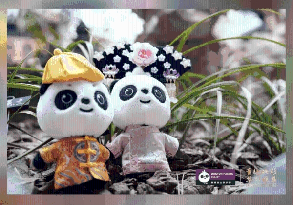 新世纪医疗|一场献给忠诚熊猫会员的亲子美育尊享礼 