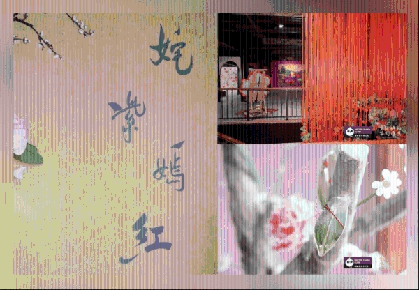 新世纪医疗|一场献给忠诚熊猫会员的亲子美育尊享礼 