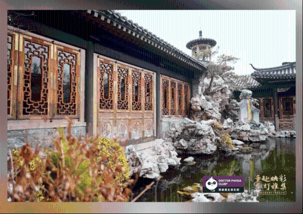 新世纪医疗|一场献给忠诚熊猫会员的亲子美育尊享礼 