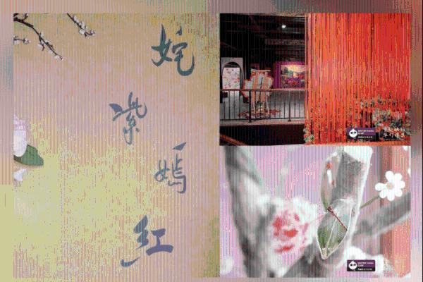 新世纪医疗|一场献给忠诚熊猫会员的亲子美育尊享礼 