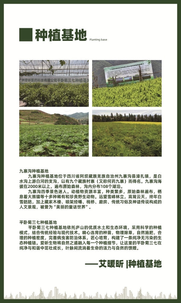 从“手法依赖”到“技术产品双轮驱动”：中式智能养生加盟的标准化进化论