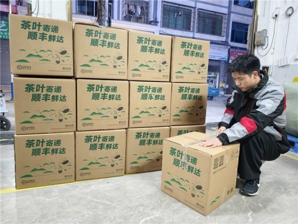 顺丰将揽收点扎进茶山，护航早春茶送到家