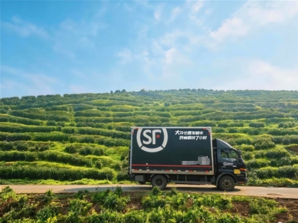 顺丰将揽收点扎进茶山，护航早春茶送到家