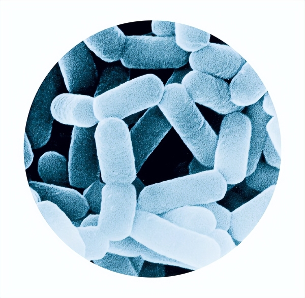 践行"益心守护 科学护航"承诺，2026年养乐多消费者服务强化月暖心开启 