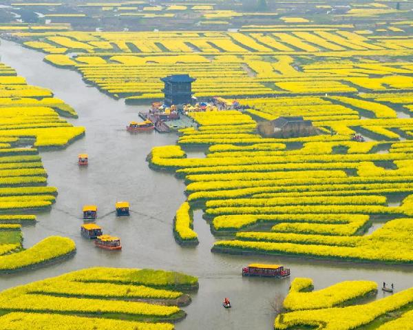 春天看花，认准这十大最美花海 