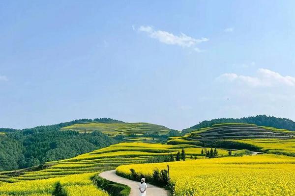 春天看花，认准这十大最美花海 