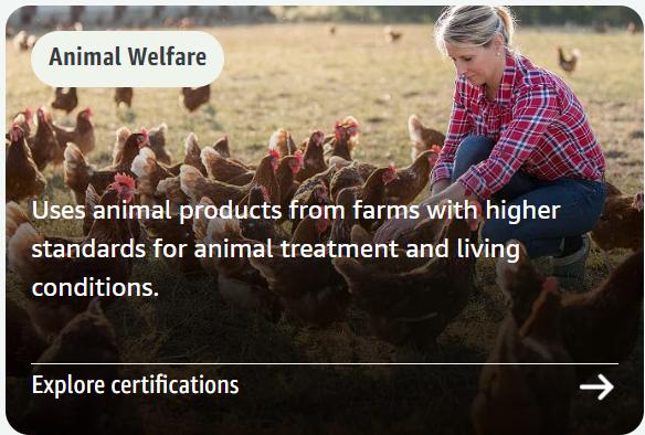 热烈祝贺深圳绿标标准认证有限公司正式成为亚马逊SPN服务商！