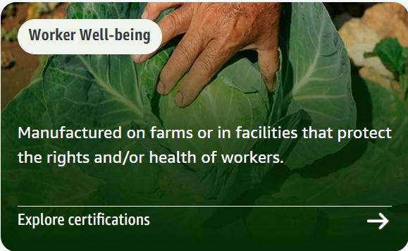 热烈祝贺深圳绿标标准认证有限公司正式成为亚马逊SPN服务商！