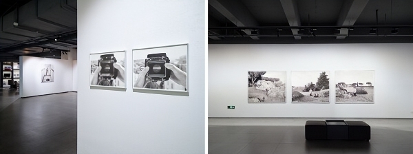 中比建交55周年 富士胶片影像空间呈现《Max Pinckers：视角之间》 