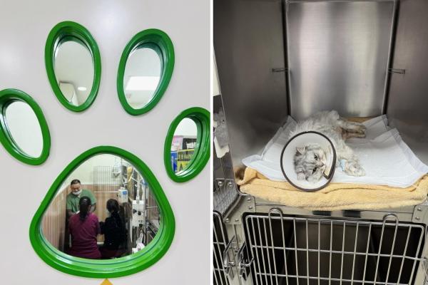 他们错过了春节自家的团圆饭，却收获了更多“家人” 