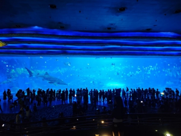 全国乐园TOP10推荐：厦门园博苑花灯乐园上榜，春季出游解锁更多玩法 