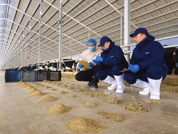 蒙牛发布2025年财报：进化强韧性，蓄力迎增长 