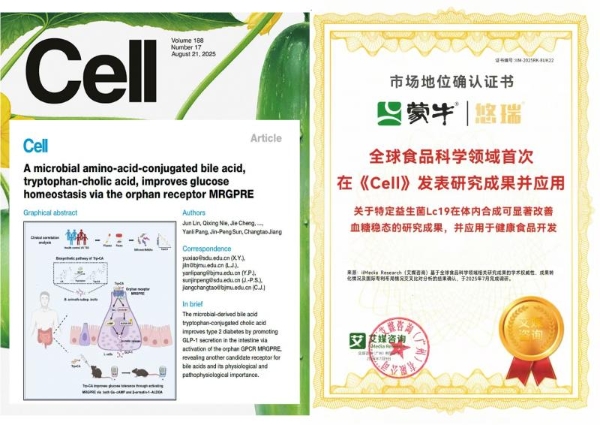 蒙牛发布2025年财报：进化强韧性，蓄力迎增长 