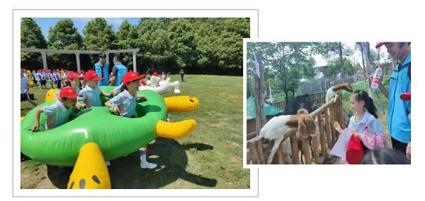 邵东怡卉奇幻世界焕新亮相 打造湖南短途文旅新标杆 