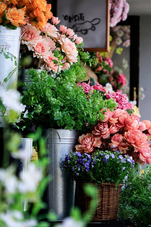 春花盛放｜佳能微单镜头搭配攻略，多场景春日氛围全覆盖  