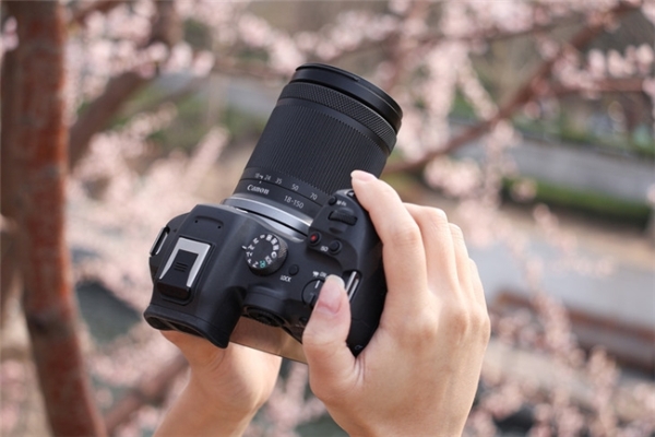 春花盛放｜佳能微单镜头搭配攻略，多场景春日氛围全覆盖  