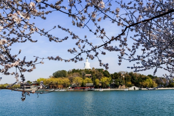 春花盛放｜佳能微单镜头搭配攻略，多场景春日氛围全覆盖  