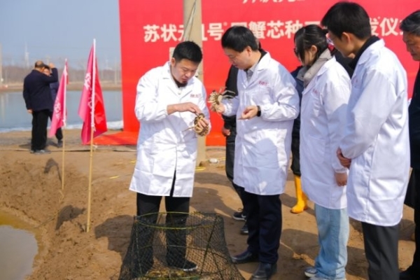 “苏状元1号”国蟹芯种工程首发：以科技育好蟹，好品质更安心！ 