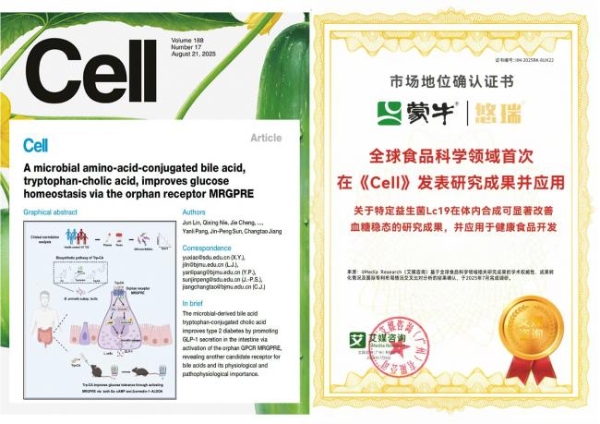 蒙牛发布2025年财报：基本面持续向好，蓄力迎接周期复苏 