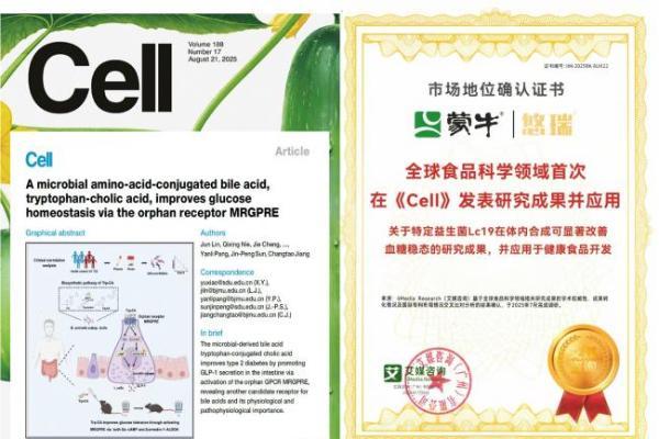 蒙牛发布2025年财报：基本面持续向好，蓄力迎接周期复苏 