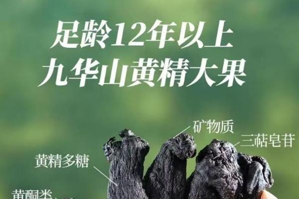 从鱼龙混杂到较真者称王：每日乔安如何以12年有机大果重构黄精市场新秩序？ 