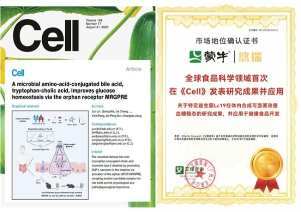 蒙牛发布2025年财报：基本面持续向好 股价逆市上涨 