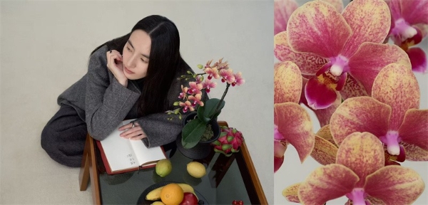 JNBY 2026春夏系列“凝视”：以艺术之名，择品质之选 