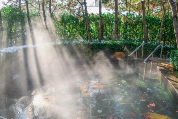 那香海春日限定度假套餐上线，解锁高性价比海边假期 