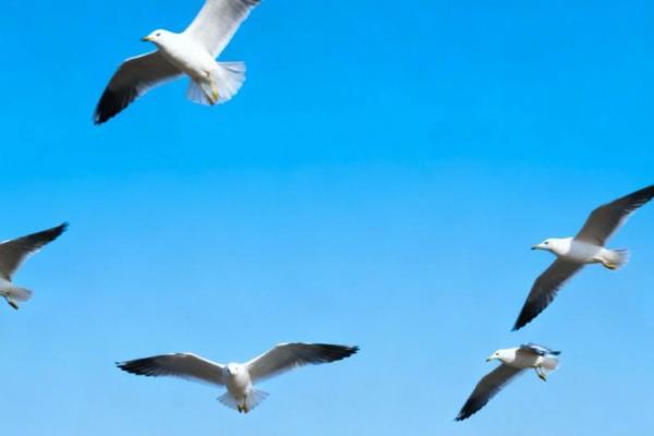 那香海春日限定度假套餐上线，解锁高性价比海边假期 