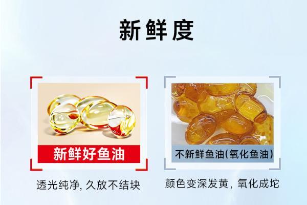 深海鱼油吃什么牌子的好 2026年高纯EPA鱼油实测榜 抗炎调脂人群精准之选 