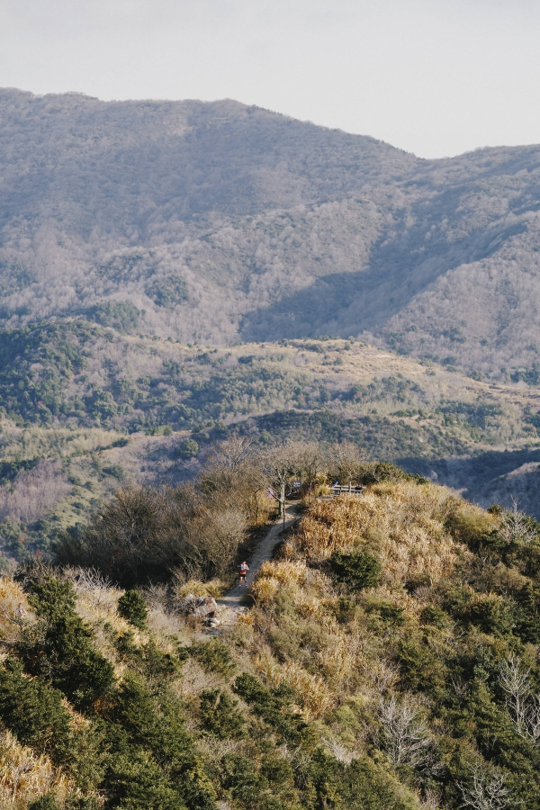 竞速东海，Salomon萨洛蒙 2026 黄金联赛中国系列赛打响揭幕战 