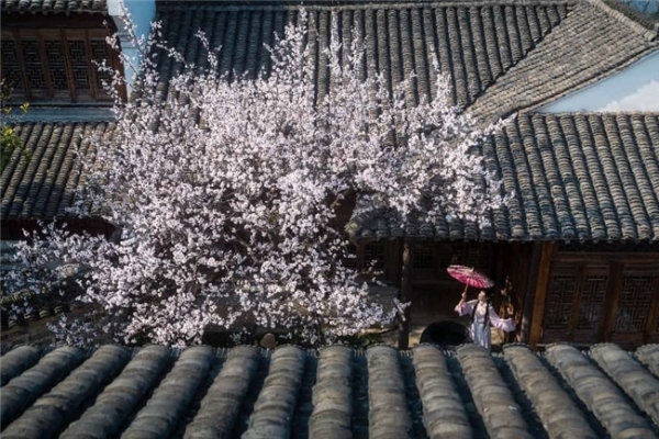 3月生日免票游 浙江濮院濮院时尚古镇推出春季惠民文旅政策 