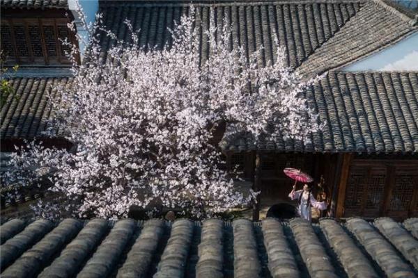 3月生日免票游 浙江濮院濮院时尚古镇推出春季惠民文旅政策 