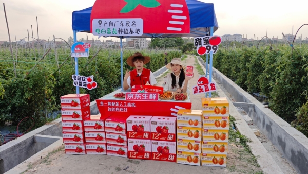 包圆80亩，400颗中出一颗！京东生鲜电白千禧12°小番茄来了！ 