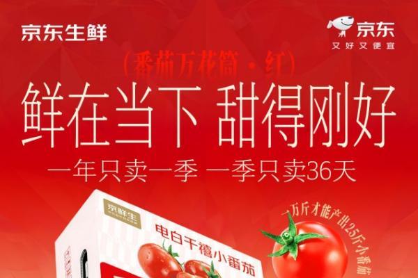 包圆80亩，400颗中出一颗！京东生鲜电白千禧12°小番茄来了！ 