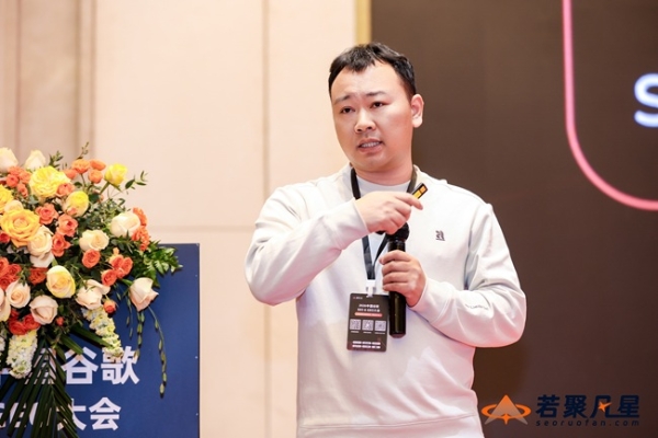 聚焦AI搜索变革：由若聚凡星主办的2026中国谷歌SEO&GEO大会于深圳圆满落幕 