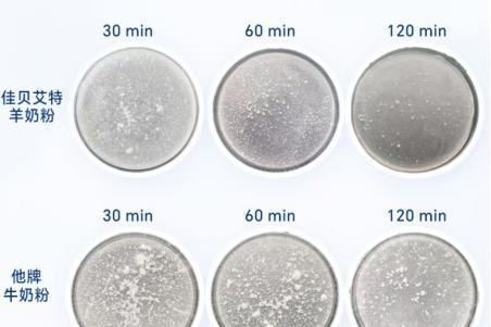 新手妈妈别焦虑！这份“对肠胃好的奶粉排行榜”帮你避开喂养雷区 