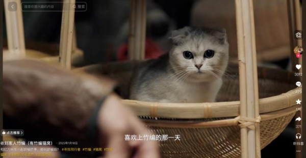 直播间里的反向定制，温柔接住每一个小需求 