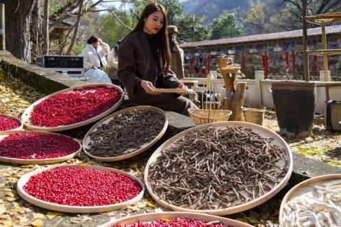 六味地黄丸六大药材GAP“全满贯”！仲景宛西制药 