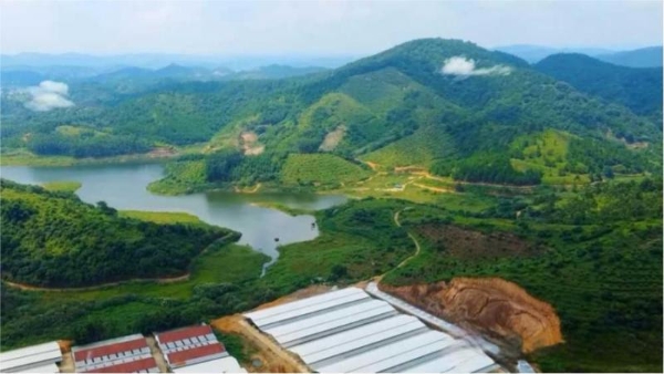 2025年度公益盘点丨百菲乳业：深耕故土，善行致远 