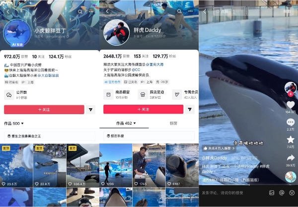 一年76次热榜，上海海昌用“参与感”激发好生意