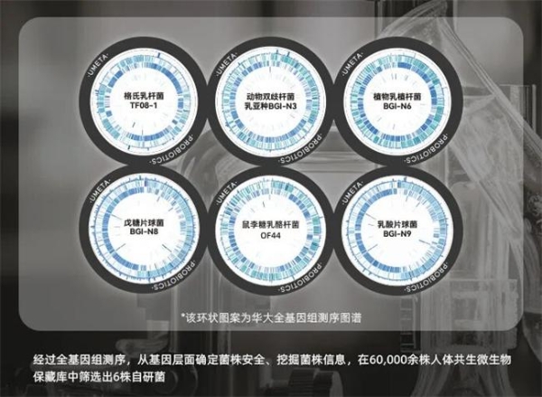 华大BGI-N6研究成果揭晓：多维度破解肥胖代谢难题 