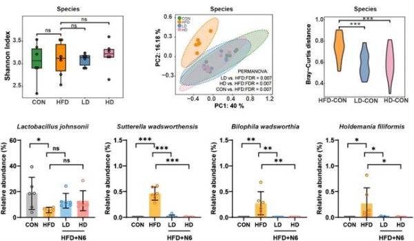 华大BGI-N6研究成果揭晓：多维度破解肥胖代谢难题 