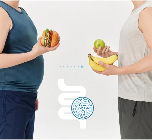 华大BGI-N6研究成果揭晓：多维度破解肥胖代谢难题 