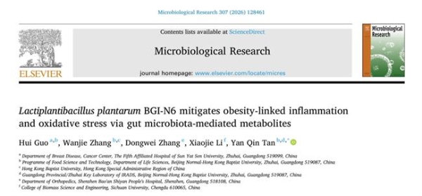 华大BGI-N6研究成果揭晓：多维度破解肥胖代谢难题 
