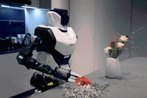 山东尖子生，霸榜机器人赛道 