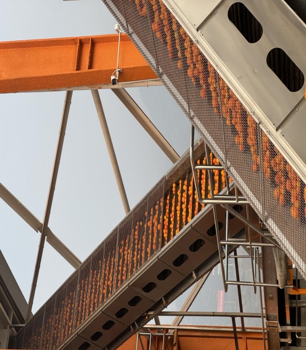 消费回归品质，渠道呼唤信任：“咱家果源”成为经销商新选择 